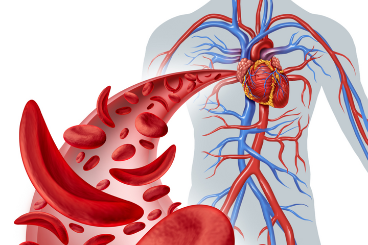 7 Ways to Improve Blood Circulation
