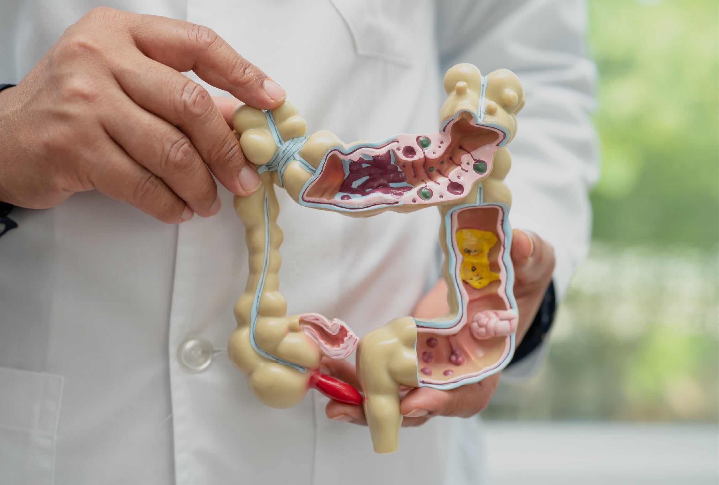 Gut Health
